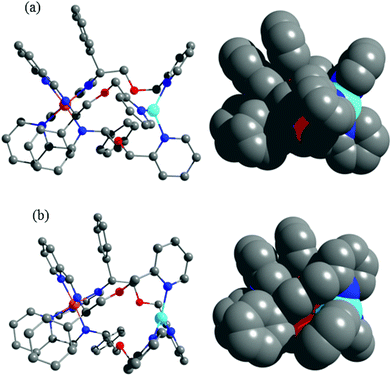 Optimised structures and space-fill representations of (a) ΔFeΔCu,RC-[FeL113Cu]3+ where the propeller pitch of the pyridine units at the planar Cu(i) centre (blue) is most pronounced; and (b) ΔFeΛCu,RC-[FeL113Cu]3+.