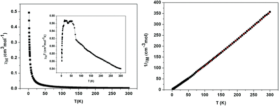 Plot of χM vs. T and χMT vs. T (inset) (left) and plot of χM−1 vs. T data fitting using Curie–Weiss equation in the range 80–300 K (right).