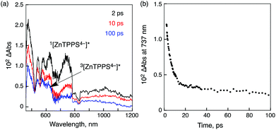 (a) Transient absorption spectra of ZnTPPS4− (2.5 × 10−5 M) in the presence of Li+@C60 (5.0 × 10−5 M) in deaerated PhCN at 298 K taken at 2, 10 and 100 ps after femtosecond laser excitation at 388 nm. (b) Time profile at 737 nm.