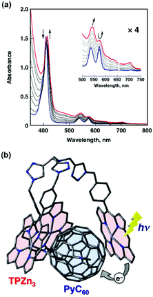 (a) UV-Vis spectral changes upon addition of PyC60 (0 to 48 μM) to an o-DCB solution of TPZn3 (3 μM) at 298 K. (b) Schematic view of photoinduced electron transfer in the TPZn3–PyC60 complex. The structure of the TPZn3–PyC60 complex was optimized by DFT at the B3LYP/3-21G(*) level.