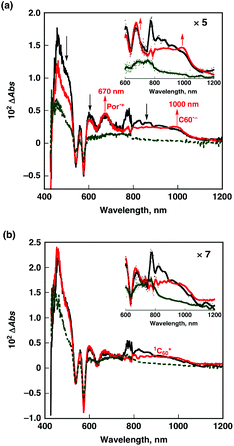 Transient absorption spectra of (a) TPZn3 (7.0 × 10−6 M) and (b) MPZn (1.1 × 10−5 M) in the presence of PyC60 (2.3 × 10−5 M) obtained at 2 ps (black), 62 ps (red), and 2800 ps (green) after femtosecond laser pulse irradiation at 410 nm in deaerated toluene at 298 K.