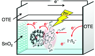 Schematic image of photoelectrochemical cell of OTE/SnO2/MTPPS4−/Li+@C60 and electron-transfer pathways to generate photocurrent.