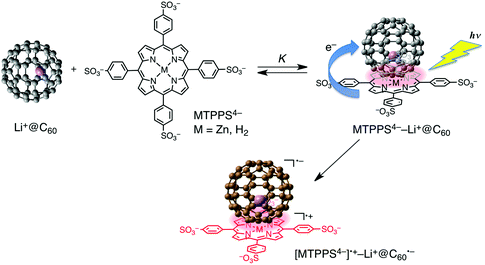 Supramolecular complex formation and photoinduced charge separation of MTPPS4− (M = Zn and H2) with Li+@C60 in PhCN.