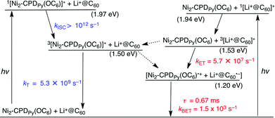 Energy diagram for Li+@C60 ⊂ Ni2-CPDPy(OC6); broken arrow: minor pathway.