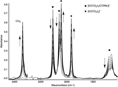IR spectra recorded during the reaction of cis,fac-[Ir(CO)2I3(COMe)]− (as its Ph4As+ salt) with H2O (0.56 mol dm−3) in MeCN at 42 °C. The region around 2300 cm−1 is masked due to the strong solvent ν(CN) band.