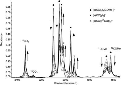 Series of IR spectra during the reaction of cis,fac-[Ir(CO)2I3(*COMe)]− with water (0.56 mol dm−3) in THF at 42 °C.