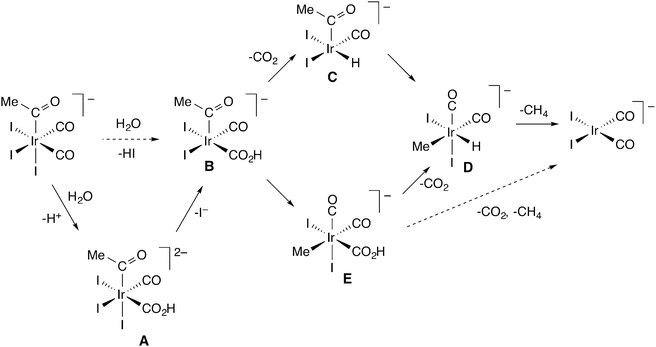 Possible mechanisms for reaction of cis,fac-[Ir(CO)2I3(COMe)]− with water.