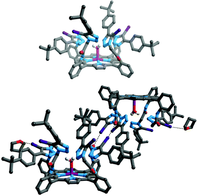 Structure of compound 5 (top); and diagram showing formation of dimers in the solid state. Halogen bonding interactions are shown as black dotted lines. Hydrogen atoms, except those on coordinated water and amide moieties are omitted for clarity, as are both (top) or one (bottom) of the crystallographically independent THF solvates. Key: grey = C, white = H, blue = N, red = O, violet = Zn, purple = I.