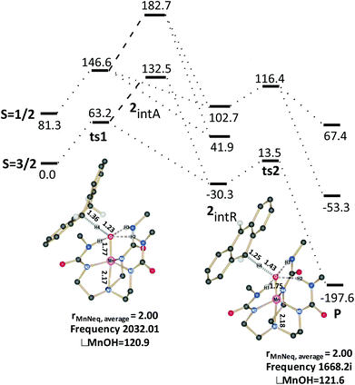 Computed reaction profile of C–H activation reaction involving DHA and species 2.