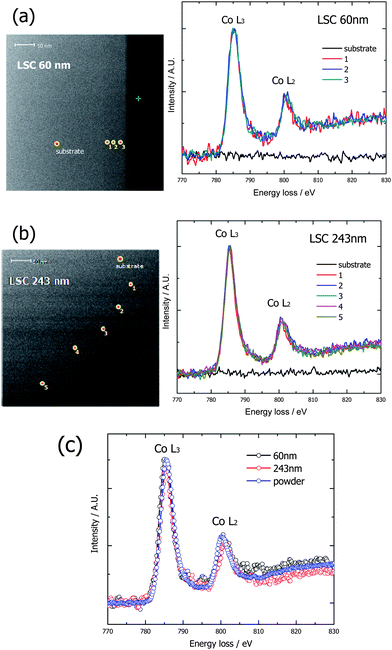 Depth profiling of L3 and L2 peaks of the L2, 3 edges in EEL spectra of the Co cation in (a) 60 nm thick LSC films and (b) 243 nm thick LSC films. (c) Comparison between thin films and bulk.