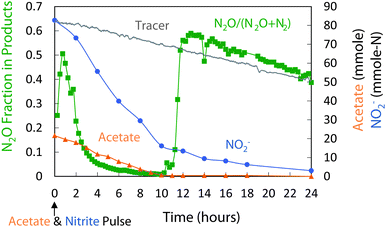 Coupled acetate–nitrite addition (cycle 107): changes in acetate, NO2−, and N2O production. Of the NO2− consumed, 12% was reduced to N2O, the rest to N2.