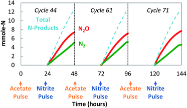 Decoupled acetate/nitrite addition (cycles 44, 61, and 71): sustained production of N2O.
