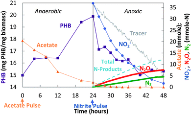 Decoupled acetate/nitrite addition (cycle 61): changes in acetate, NO2−, N2O, N2, and PHB.