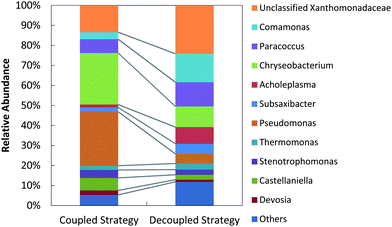 Genus-level bacterial community structures for the coupled strategy (filtered sequences: 10881) and the decoupled strategy (filtered sequences: 9504). The category “Others” indicates populations with relative abundance <1%.