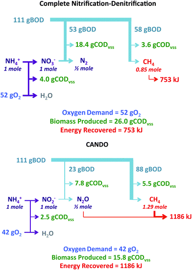 Comparison of complete nitrification–denitrification to CANDO with respect to oxygen demand, biomass production, and energy recovery.