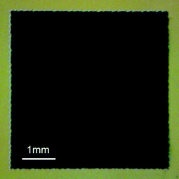 The top view of 5 mm × 5 mm dye sensitized TiO2 electrode by optical microscope.