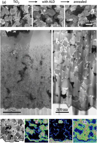 Microstructure of ETA solar cells based on Sb2S3 by ALD. (a) Changes observed by SEM (top view) upon ALD and annealing. (b) STEM-HAADF micrographs of a functional solar cell in the cross-section at two distinct magnifications. (c) Distribution of the phases TiO2, Sb2S3, and CuSCN near the FTO-side of the solar cell (EDX mappings of the elements Ti, Sb, and Cu; the signals of the elements Sn and Sb overlap).