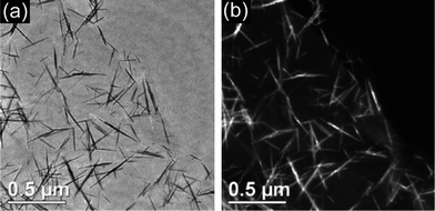(a) Bright-field and (b) dark-field images of a MnO2 nanoneedle–graphene oxide composite. Reprinted from ref. 65 with permission.