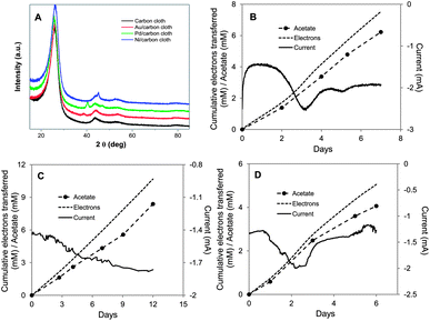 
            S. ovata electrosynthesis of acetate with carbon cloth cathodes coated with metal nanoparticles. (A) X-ray diffraction patterns of plain carbon cloth or cloth coated with Au, Pd, or Ni nanoparticles. (B) Electron consumption, acetate and current production over time with Au nanoparticle coated carbon cloth. (C) Electron consumption, acetate and current production over time with Pd nanoparticle coated carbon cloth. (D) Electron consumption, acetate and current production over time with Ni nanoparticle coated carbon cloth. Results shown are from a representative example of three replicate cultures.