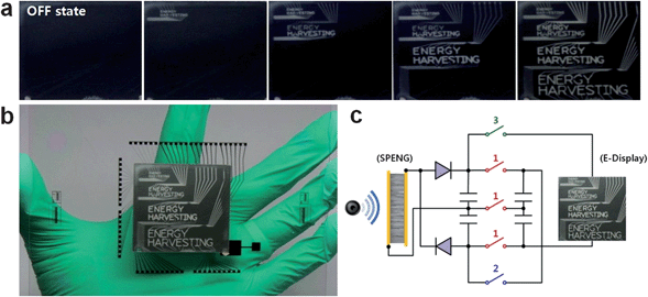 Self-powered electrophoretic displays. (a) Photographs of text displayed on the device after sequentially discharging the capacitors. (b) A photograph of electrophoretic ink displays powered by a SPENG. (c) Schematic diagram of the voltage doubling and charge storage circuit.