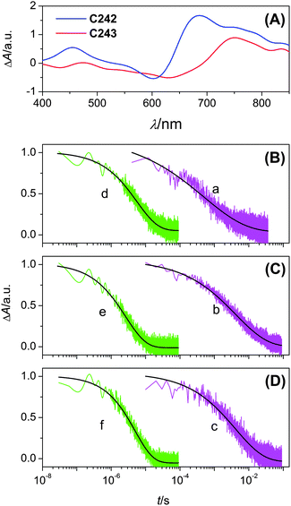 (A) Transient absorption spectra recorded at 200 ns upon nanosecond pulsed, 488 nm laser excitation of dye-coated titania films in contact with an inert electrolyte of 0.1 M LiTFSI and 0.5 M TBP in MeCN. (B, C and D) Kinetic absorption traces probed at 765 nm of 4.5 μm thick, titania films coated with (B) C242 from THF, (C) C243 from THF and (D) C243 from the binary solvent of THF and MeCN, in contact with the inert (a–c) and cobalt (d–f) electrolytes. Laser pulse fluence and excitation wavelength: (a) 20 μJ cm−2 at 639 nm; (b) 19 μJ cm−2 at 679 nm; (c) 19 μJ cm−2 at 688 nm; (d) 20 μJ cm−2 at 642 nm; (e) 19 μJ cm−2 at 683 nm; (f) 19 μJ cm−2 at 692 nm. Smooth lines are stretched exponential fittings over raw data obtained by averaging 400 laser shots.