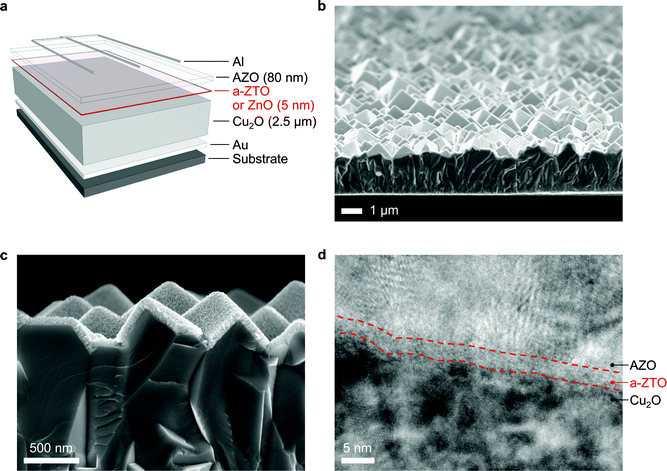 (a) A schematic of the structure of the substrate type Cu2O-based solar cells with a-ZTO (or ZnO for the “control” device) buffer layers. (b) Cross-sectional scanning electron microscopy (SEM) image of the device, exhibiting a highly textured top surface stemming from (111) preferred growth of Cu2O. (c) Magnified SEM image near the junction interface. Conformal coating of a-ZTO and AZO layers is demonstrated. (d) HR-TEM image near the junction interface. Dashed lines indicate phase boundaries between the amorphous ZTO layer (Zn/Sn = 1/0.27) and surrounding crystalline Cu2O and AZO layers.