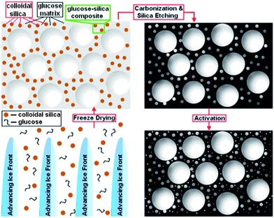 Schematic showing the basic steps and the material thus produced after each step. The four steps shown clockwise from bottom left are: (1) (side view) ice templating – ice front movement through the glucose and colloidal silica aqueous suspension forming ice crystals, (2) (top view) freeze drying – the glucose–silica composite material with macropores after removal of ice, (3) (top view) carbonization and silica etching – macro-mesopore dominated carbon and finally, (4) (top view) physical activation – hierarchical carbon. Note: for simplification, the pores are not shown as interconnected. For convenience the samples are denoted by KCU-C x–y–z, where x represents the average colloidal silica size (nm), y represents the mass ratio of silica to glucose and z represents the time (h) for CO2 activation.