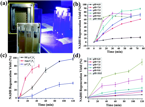 (a) Experimental setup for the photocatalytic regeneration of NADH. (b) The photogenerated NADH yield showed pH dependence in a series of phosphate buffered saline (PBS) buffer solutions of different pH. β-NAD+, 1 mM; M, 0.25 mM; TEOA, 15 w/v%; PBS buffer, 0.1 M, pH as indicated; mpg-C3N4, 2 mg. (c) Photocatalytic activity comparisons between DE-g-C3N4, mpg-C3N4, and g-C3N4 in regenerating NADH from a mediator involved system with a pH of 8. (d) The photogenerated NADH yield showed pH dependence in a series of PBS buffer solutions of different pH; β-NAD+, 1 mM; TEOA, 15 w/v%; PBS buffer, 0.1 M, pH as indicated; mpg-C3N4, 2 mg.