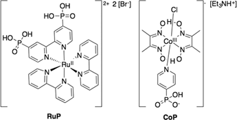 Molecular structure of the ruthenium dye (RuP) and the cobalt H+ reduction catalyst (CoP).