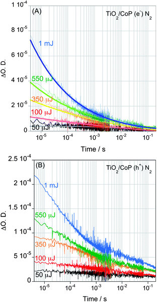 Transient absorption decays of photoexcited electrons (A) and holes (B) of a TiO2/CoP film in water under N2 after band gap excitation (λex = 355 nm) with different laser pulse intensities, ranging from 50 μJ cm−2 to 1 mJ cm−2. The decay of photo-excited electrons was proved at 900nm, while holes were monitored at 460 nm.