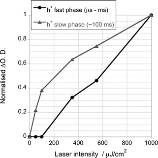 Signal amplitude of generated photoholes of a TiO2/CoP film after band gap excitation (λex = 355 nm), assigned to the recombination of charge carriers in TiO2 (h+ fast phase) and to the holes accumulated at the valence band of TiO2 after electron transfer to CoP (h+ slow phase), using different excitation densities.