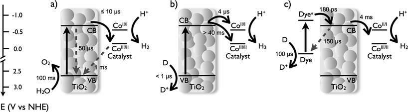 Illustration of the three experimental systems studied herein, and the functional processes underlying their function comprising (a) TiO2 functionalised by a CoP proton reduction catalyst in water under UV excitation, with, (b) the addition of a sacrificial electron donor (D), and (c) the addition of a photosensitiser dye to enable visible light activity. The figure illustrates the two reduction potentials of the catalyst (CoIII/II and CoII/I, measured at pH 7) relevant for the H2 evolution reaction. Forward electron transfer processes are represented with solid black arrows, while recombination reactions are drawn with dashed grey arrows.