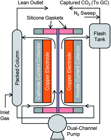 Schematic diagram of bench-scale EMAR system.