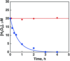 Time courses of the concentration of H2O2 in the presence of Ir(OH)3 (3.0 mg) in H2O (3.0 mL) containing H2O2 (20 μM) and Sc(NO3)3 (100 mM) (red circles) at pH 2.8 and in an HNO3 aqueous solution (pH 2.8, 3.0 mL) containing H2O2 (20 mM) (blue squares).