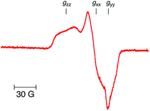 EPR spectrum of the O2˙−–Sc3+ complex under irradiation of [RuII(Me2phen)3]2+ (20 μM) with visible light (λ > 420 nm) in the presence of Sc(NO3)3 (100 mM) in frozen O2-saturated H2O at 77 K.