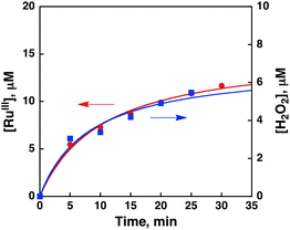Time courses of [RuIII(Me2phen)3]3+ generation (red line) and H2O2 production (blue line) under irradiation of [RuII(Me2phen)3]2+ (20 μM) with visible light (λ = 450 nm) in an air-saturated H2SO4 aqueous solution (2.0 M, 3.0 mL, [O2] = 0.25 mM).