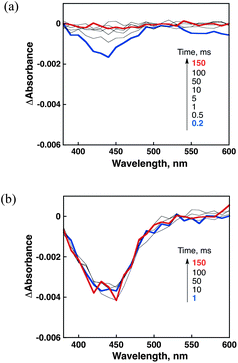 Transient absorption spectra of [RuII(Me2phen)3]2+ (20 μM) in O2-saturated H2O (a) in the absence of Sc(NO3)3 and (b) in the presence of Sc(NO3)3 (10 mM) after laser excitation at λ = 430 nm.