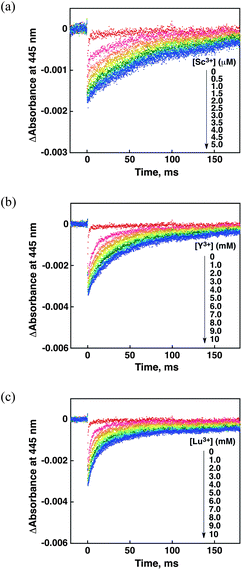 Time profiles at λ = 445 nm for back electron transfer from [RuIII(Me2phen)3]3+ to O2˙− in O2-saturated H2O containing [RuII(Me2phen)3]2+ (20 μM) in the presence of various concentrations of (a) Sc(NO3)3 (0–5.0 μM), (b) Y(NO3)3 (0–10 mM) and (c) Lu(NO3)3 (0–10 mM).