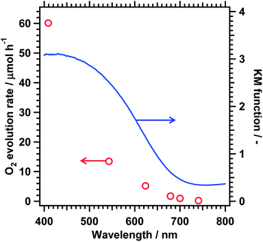 Dependence of the initial oxygen evolution rate of 2 wt% CoOx-loaded BaNbO2N on the cutoff wavelength of the incident light. The DRS trace of the BaNbO2N used is also shown. Photocatalyst, 0.10 g; solution, 200 mL of 50 mM aqueous AgNO3 solution containing 0.20 g of La2O3; and light source, 300 W Xe lamp.