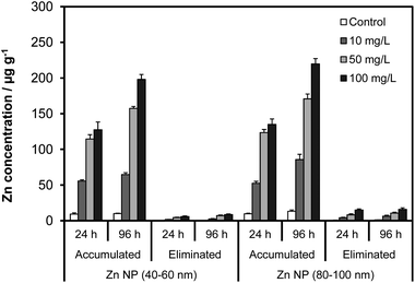 The effects of NP size, concentration and exposure time on the accumulation and elimination of Zn NPs by Artemia larvae.