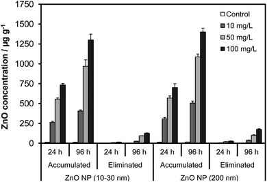 The effects of NP size, concentration and exposure time on the accumulation and elimination of ZnO NPs by Artemia larvae.