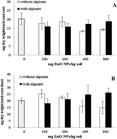 Biomass accumulation in root (A) and shoot (B) of corn plants grown for 30 days in soil treated with ZnO NPs at 0 to 800 mg kg−1 with and without alginate. Error bars stand for standard deviation.