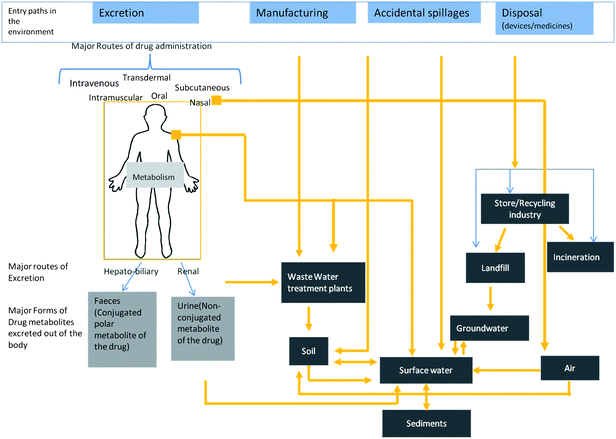 A conceptual schematic showing likely sources and transport of nanomedicine into the environment. Nanomedicines and transformed products may be released into the water through the excretory routes, washing off from skin, from manufacturing facilities, spillages and disposal of product. They can be released in the atmosphere from nasal inhalers. Incineration of composite medical products and abrasion and weathering in landfills may lead to release into the atmosphere.