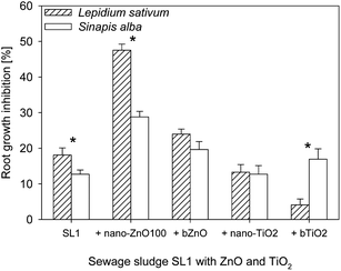 Effect of ZnO and TiO2 (nano, bulk) on root growth inhibition of L. sativum and S. alba. The concentration of bulk and nanoparticles in sewage sludge 10 000 mg kg−1. *Values statistically different between bars (P ≤ 0.05).