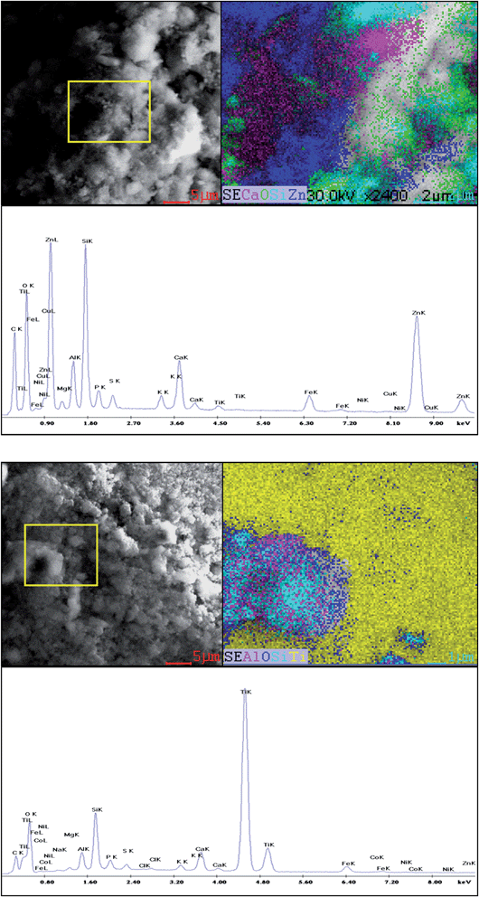 (a) SEM image and map with the EDAX spectrum of sewage sludge SL1 with nZnO. (b) SEM image and map with the EDAX spectrum of sewage sludge SL1 with nTiO2.