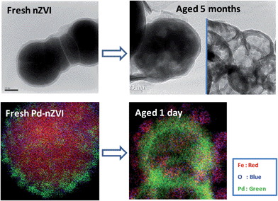 Structural evolution of nZVI during aging in an aqueous environment. (Top) Transmission electron microscopy (TEM) images of fresh nZVI particles and those after aging for 5 months. (Bottom) Scanning TEM-X-ray dispersive spectroscopy (STEM-XEDS) overlay images of fresh palladium-doped nZVI and those after aging for 1 day. Images from ref. 61 and 93.