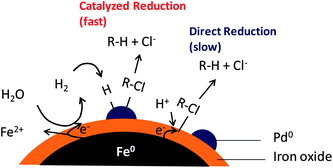 Mechanisms of reductive dechlorination by monometallic nZVI and palladium-doped nZVI.
