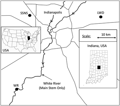 Location of the Leary Weber Ditch site (LWD), Scott Starling Nature Sanctuary site (SSNS), and White River site (WR) in Indiana, USA.