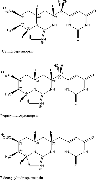 Cylindrospermopsin