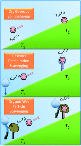 The processes by which mountain cold-trapping occurs: to become cold-trapped by dry-gaseous deposition a PPP (pink) must have a soil–air equilibrium partition coefficient KSA at the temperature lower on the mountain (T1) that prevents it from sorbing too much to soil directly from air lower on the mountain and a KSA at the temperature high on the mountain (T2) that causes it to sorb to soil directly from air so that it does not all exit the system (top); to become cold-trapped by wet-gaseous deposition a PPP must have a water–air equilibrium partition coefficient KWA at T1 that prevents it from partitioning mostly to precipitation (P↓) and thus be deposited with it and so it is available to move further upslope, and must have a KWA at T2 so that it partitions from air to P↓ and is deposited to the surface with P↓ there (middle); to become cold-trapped by wet- or dry-particle deposition a PPP must have a particle–air equilibrium partition coefficient KPA at T1 that prevents it from sorbing to particles and being dry-deposited or P↓ scavenged with the particles so it can proceed upslope and must also have a KPA at T2 causing it to partition to particles so that is either dry deposited or P↓ scavenged with the particles higher on the mountain (bottom).